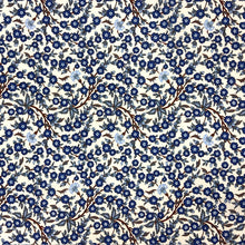 Load image into Gallery viewer, Empress B- Liberty Tana Lawn®