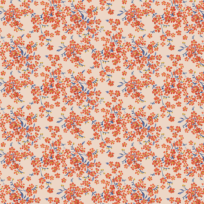 Forget-Me-Not Trail A
