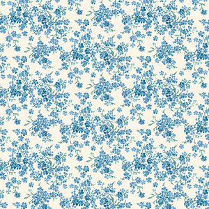 Forget-Me-Not Trail C