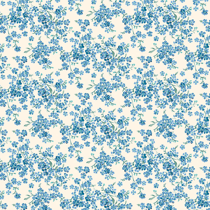 Forget-Me-Not Trail C