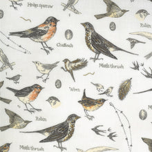 Load image into Gallery viewer, Botanicals Birds Parchment