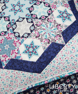 Starry Sky EPP papers