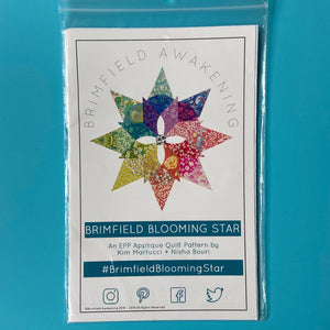 Brimfield Blooming Star Block Pattern